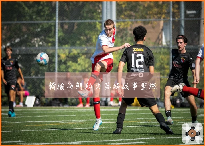 赣榆海鲜助力苏超战事重燃