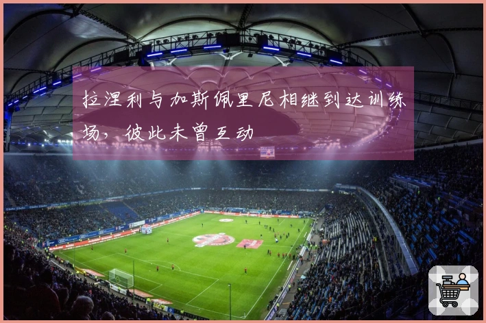 拉涅利与加斯佩里尼相继到达训练场，彼此未曾互动